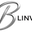 blinva.eu favicon